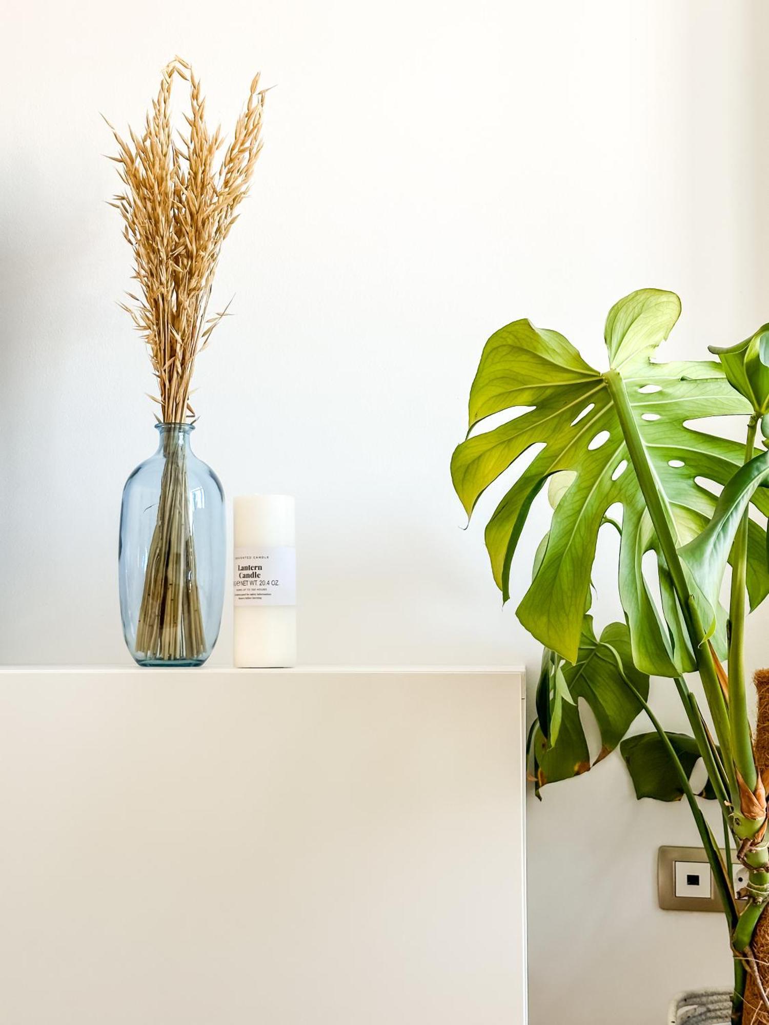Apartamento Luar By Aloga Cee Zewnętrze zdjęcie